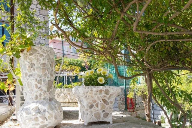 Apartments Varos Split Oda fotoğraf